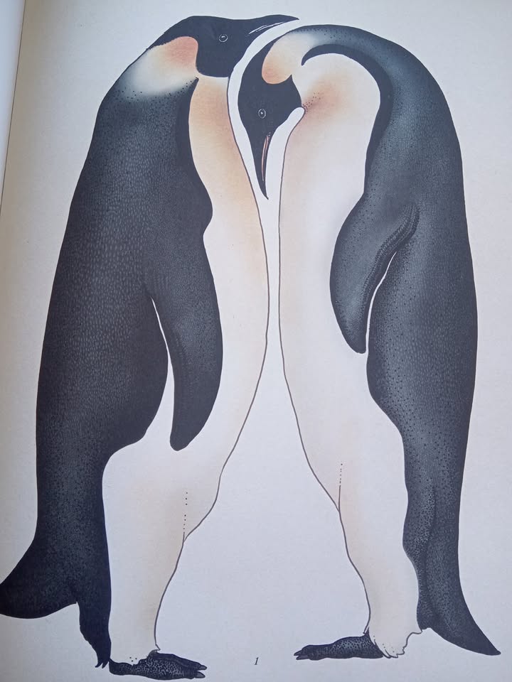 Szkoła Podstawowa nr 2 im. Jana Pawła II w Piechowicach