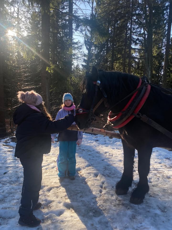 Szkoła Podstawowa nr 2 im. Jana Pawła II w Piechowicach