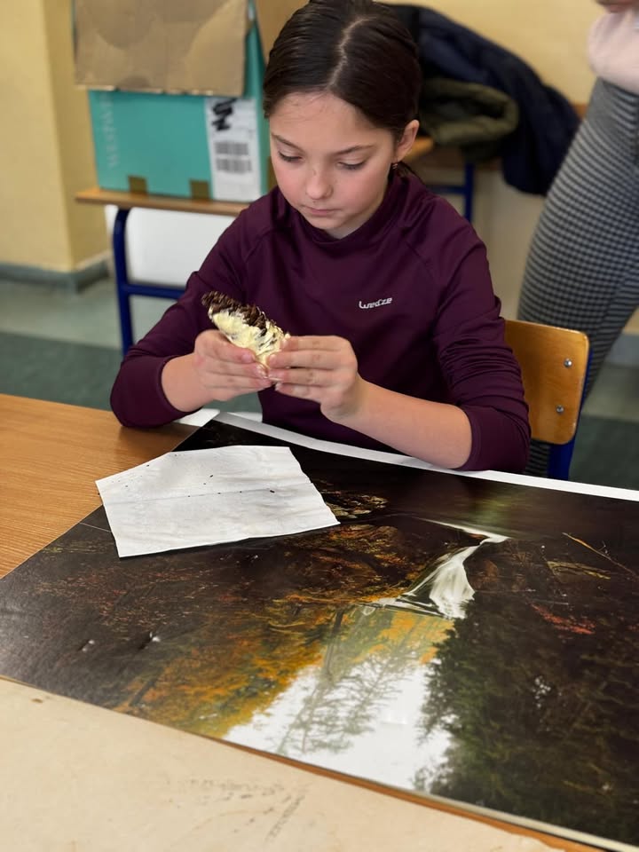 Szkoła Podstawowa nr 2 im. Jana Pawła II w Piechowicach