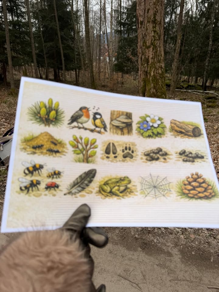 Szkoła Podstawowa nr 2 im. Jana Pawła II w Piechowicach