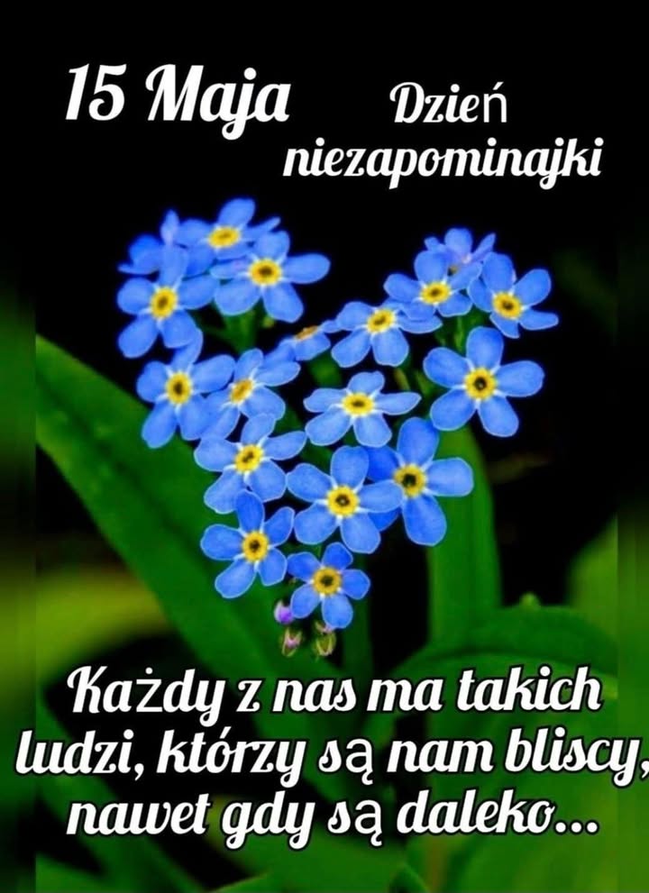 Szkoła Podstawowa nr 2 im. Jana Pawła II w Piechowicach